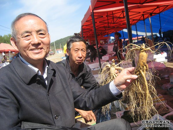 郭来旺教授赴长白山考察